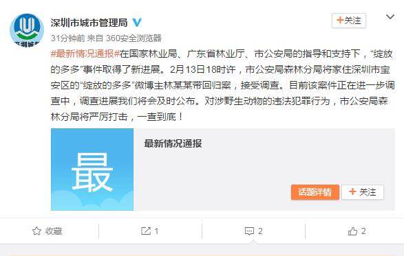 深圳“穿山甲公主”被公安局带回归案(图2)