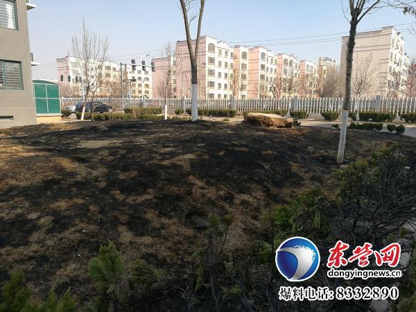 锦华社区翠湖小区发生火灾 原是儿童放鞭炮引燃(图1)