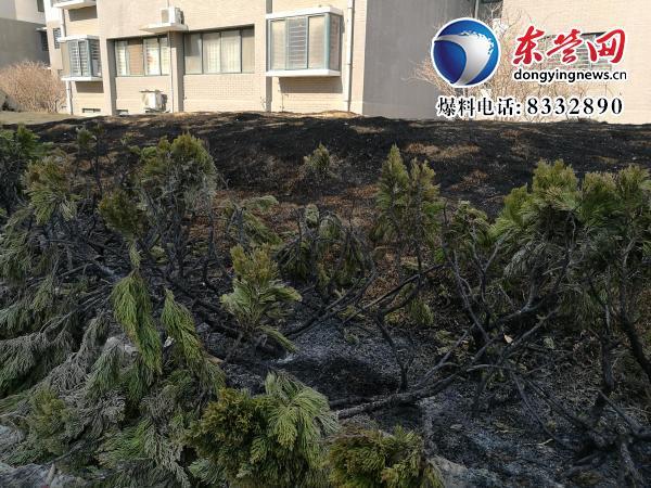 锦华社区翠湖小区发生火灾 原是儿童放鞭炮引燃(图2)
