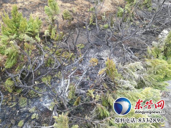 锦华社区翠湖小区发生火灾 原是儿童放鞭炮引燃(图4)