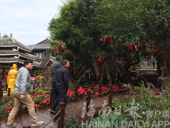快来赏花游园赏美食！琼洲文化风情新春庙会开(图3)