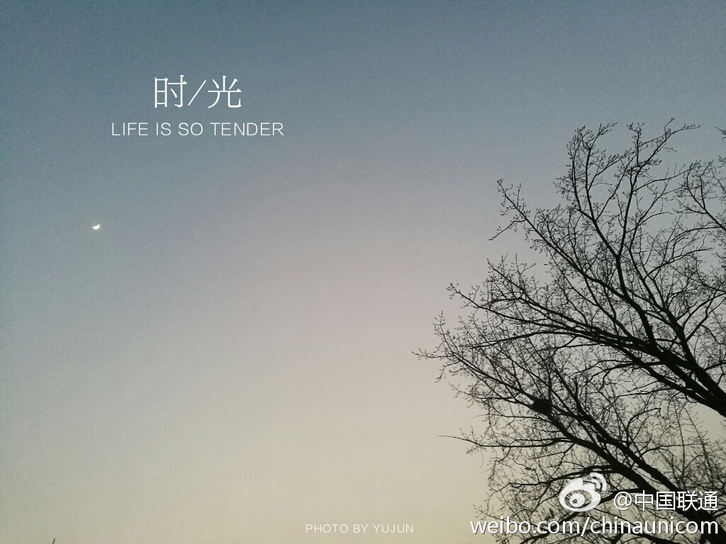 天涯踏尽红尘，依然笑作春温(图1)